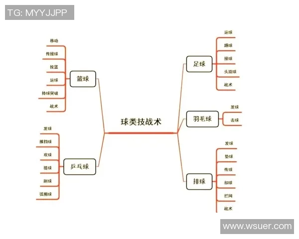 西安排球队中路突破战术解析与技术要点深度剖析